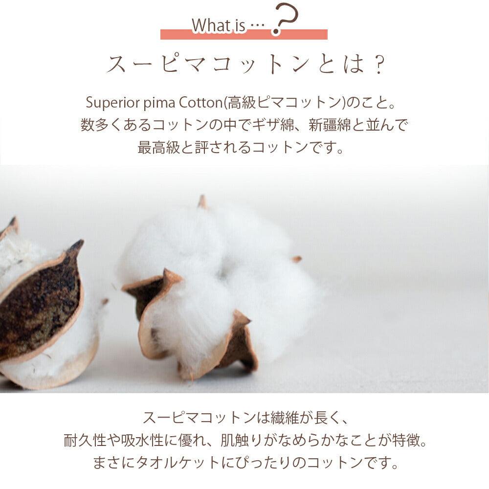 タオルケット スーピマコットン ダブル