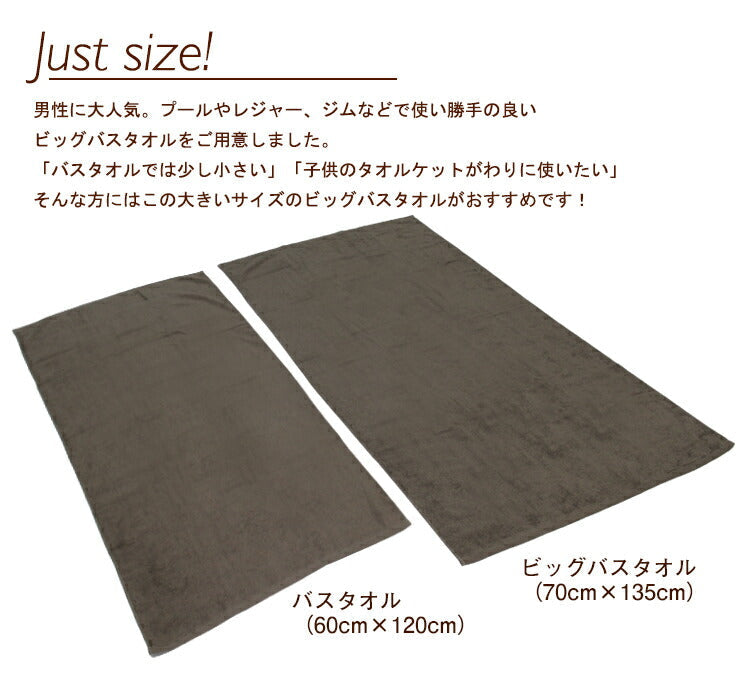 しっかり吸水デイリー ビッグバスタオル