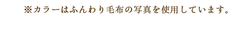 マイクロファイバー 毛布 ブランケット シングル