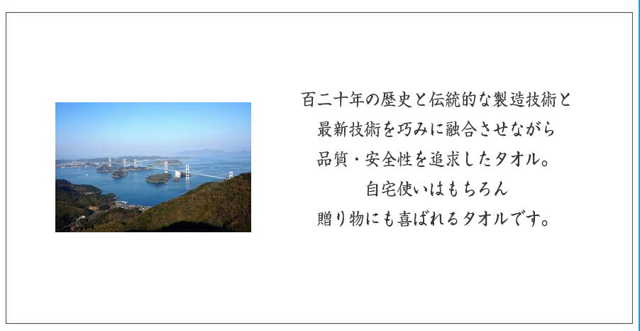 今治タオル エッジ ハンドタオル
